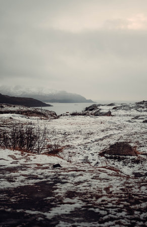Arctic tundra next to ocean near Tromso, Norway in winter