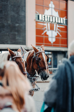 Shot on the 17th of October 2023 in Helsinki, Finland during a 2 day trip there on the way to Lapland.の写真素材