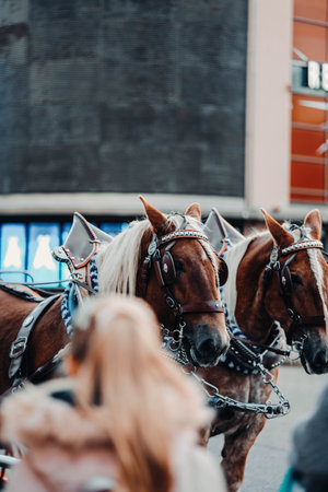 Horses outside Helsinki central train station in Finlandの写真素材