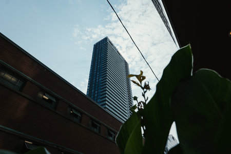 Shot on the 16th of August 2024 in the center of Toronto, Ontario, Canada.の写真素材