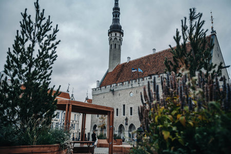 City hall in the old town in Tallinn, Estoniaの写真素材