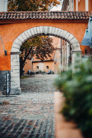 Orange archway with autumnal tree behind in old town in Tallinn, Estoniaの写真素材