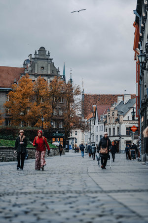 Street into the old town in Tallinn, Estonia on cloudy autumn dayの写真素材