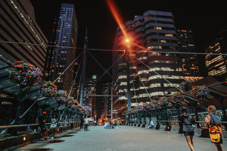 Flowers on footbridge over railway at night in Toronto, Ontarioの写真素材