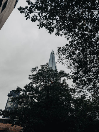 The Shard behind leaves on trees on cloudy day in London, the UKの写真素材