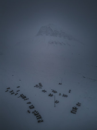 Snowmobiles parked under Sarkofagen in the snow in Longyearbyen, Svalbardの写真素材