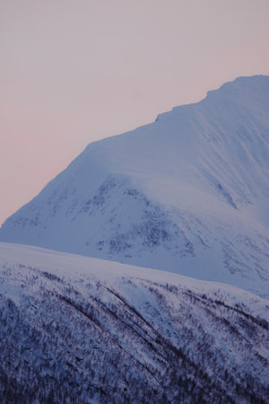 Snowy Tromsdalstinden against pink sky in Tromso, Norwayの写真素材