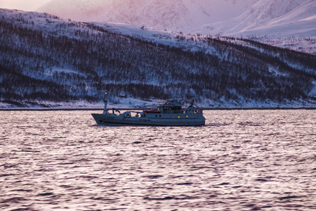 Fishing boat at sunset on the arctic ocean in northern Norwayの写真素材