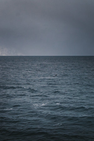 Arctic ocean seawater under grey clouds in northern Norwayの写真素材