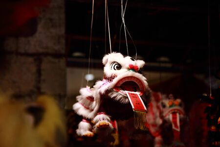 Lion Dance Dollの写真素材