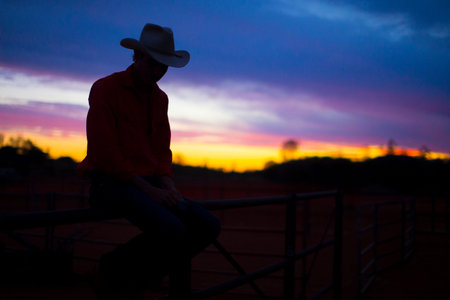 Cowboy Silhouette