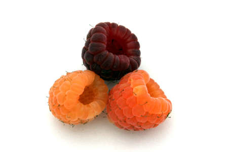 Three different varieties of organic raspberriesの写真素材