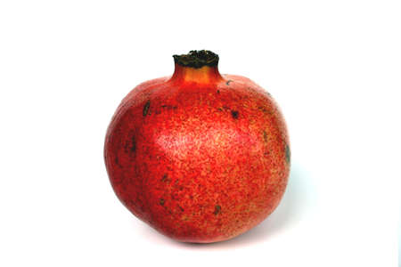 Pomegranateの写真素材