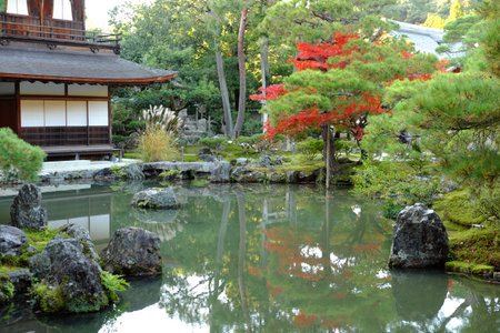 Zen automn garden in Kyoto