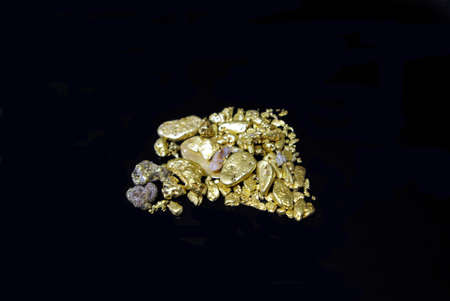 California Gold Nuggetsの写真素材
