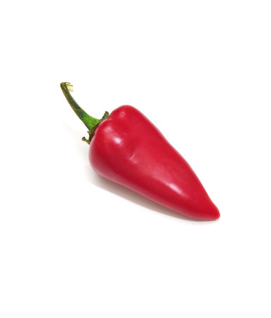 One fully ripened Jalapeno chili pepper on a light colored background