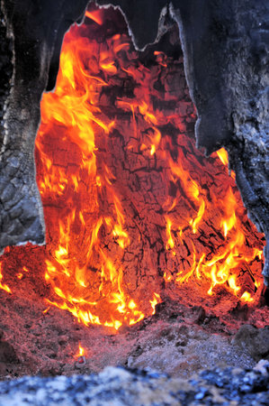 Interior of a tree on burning during a forest fire.