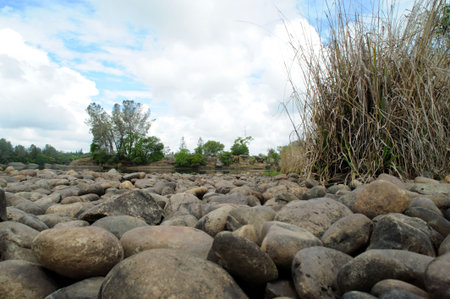 River rocks and water as it would be viewed by a small animal. Wild grasses and trees in the shot on...