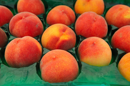 Farm fresh peaches packed in individual cells inside a packing carton at the market