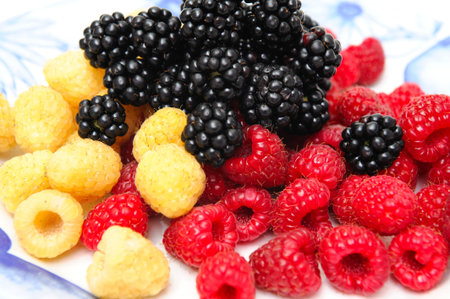 Red and golden raspberries topped with fresh blackberry served on an old fashined blue and white plate.の写真素材