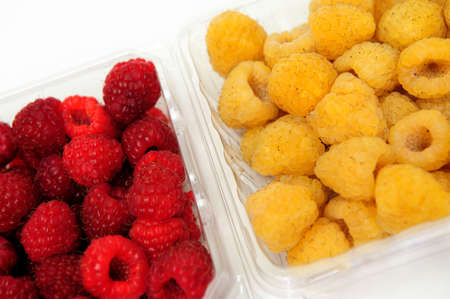 Red and golden raspberries in a plastic store container on a white nackgroundの写真素材