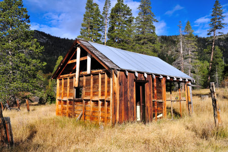 The decaying remains of an old abandoned home in the forest  located in the  California Sierra mountains の写真素材