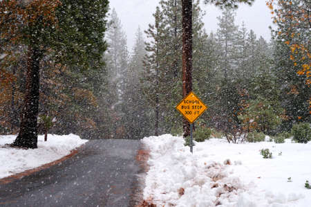 A single lane road with a sign notifying that there is a school bus stop ahead in the winter time with heavy snow starting to fallの写真素材