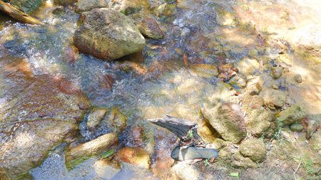 A Stretch Of Rocks At The Bottom Of A Fresh, Fresh Water River From The Mountains, In A Tropical...