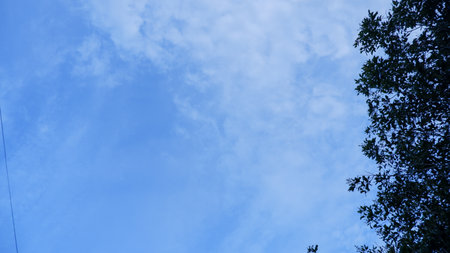 Natural View Of A Cloudy Blue Evening Sky, With The Silhouette Of A Tree At Duskの写真素材