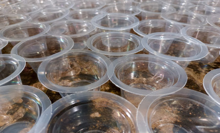 Close Up View Of Plastic Cups For Serving Pudding And Other Foods