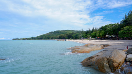 Stunning Panoramic Views Of A Secluded Tropical Beach With Towering Palm Trees And Lush Greenery As...