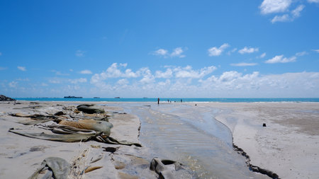 A tranquil coastal view with a narrow waterway cutting through the sandy shore. In the distance, a cargo ship sails on the horizon under a bright blue sky.の写真素材