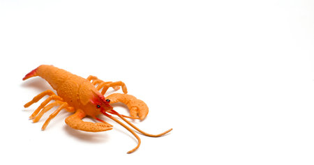 A Toy In The Shape Of A Shrimp On A White Background Isolated  And Photo Composition Leaves Spaceの写真素材