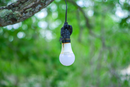 Close-up of an old, weathered light bulb hanging from a tree branch using black tape, with a bright green bokeh backgroundの写真素材