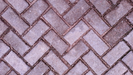 Top view, close-up of a gray herringbone cobblestone sidewalk. The uniform pattern of rectangular paving bricks creates a strong geometric backdrop.の写真素材