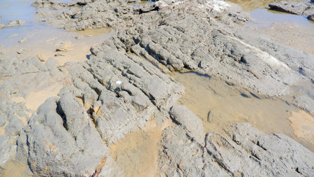 High angle, detailed shot of a unique, thickly textured rock formation along the coastline in...