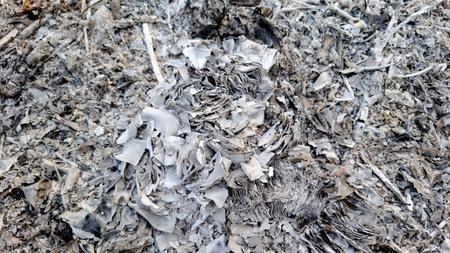 Close-up and full-frame views of the burned-out ash and debris piles, showing varying shades of gray, white, and charcoal black.の写真素材