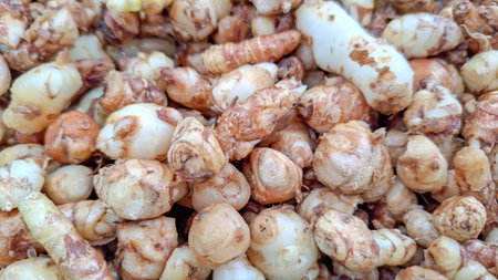 Assortment of Galangal and Kencur Rhizomes Macro Backgroundのeditorial素材