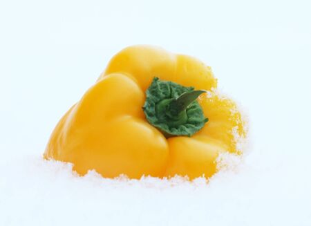 yellow pepper lying on the white snowの写真素材