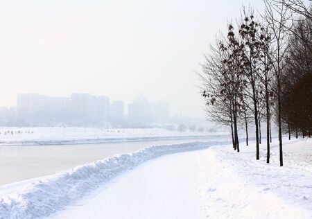 winter landscape on the background of the frozen river in the fogの写真素材
