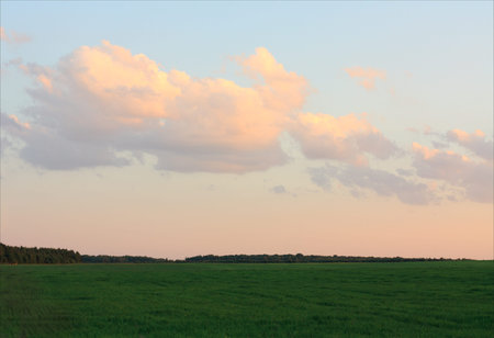 Background of sky and grass
