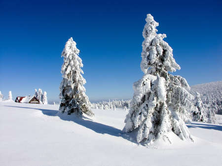 Orlicke mountains, Czech Republic, a perfect place to have a White Christmas or to celebrate the New Year !の写真素材
