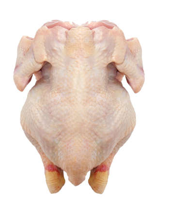raw chicken isolated on white backgroundの写真素材