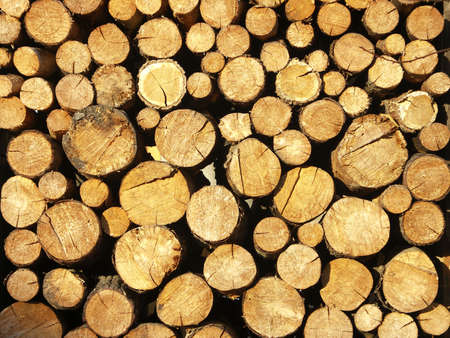 A background of wood stockの写真素材