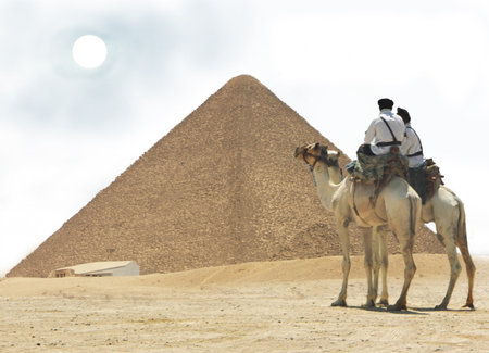 Egypt -  Cairo, Giza - two cops on camelの写真素材