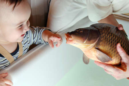 Christmas carp in bath with smile childの写真素材