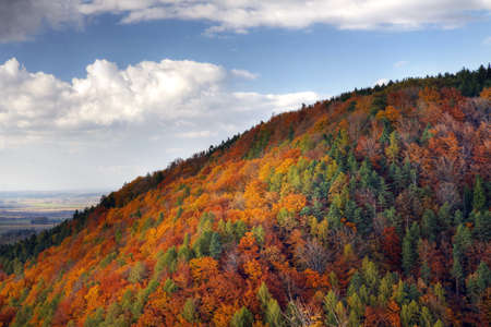 Czech Republic - autumn landscape in Zelezne hory (Iron mountains)の写真素材