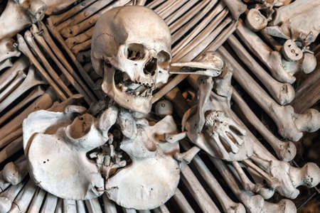 Coat of Arms in Bone Church, Czech Republicの写真素材