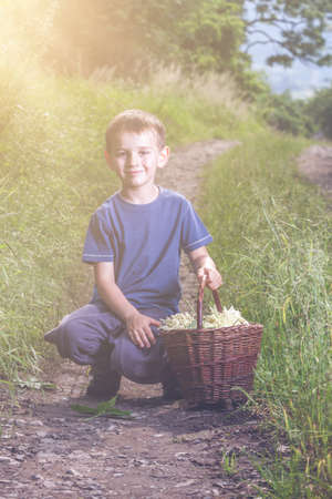 Czech Republic - collecting elder blossom flower - boy with full herbs flower basket on wayの写真素材