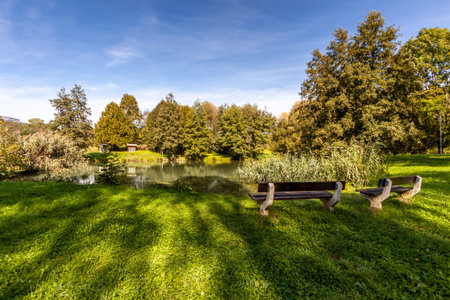 Benchs in the summer park, Czech Republic, city Usti nad Labem.